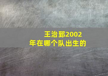 王治郅2002年在哪个队出生的