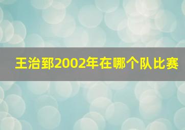 王治郅2002年在哪个队比赛