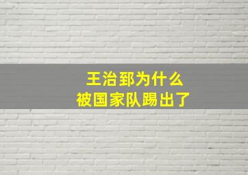 王治郅为什么被国家队踢出了