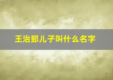 王治郅儿子叫什么名字