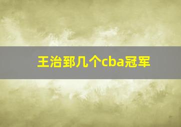 王治郅几个cba冠军