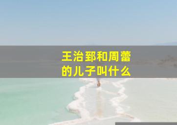 王治郅和周蕾的儿子叫什么