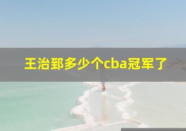 王治郅多少个cba冠军了