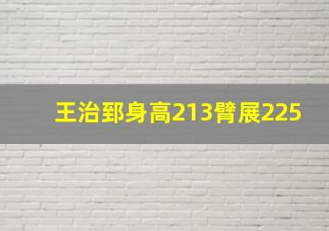 王治郅身高213臂展225