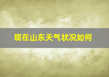 现在山东天气状况如何