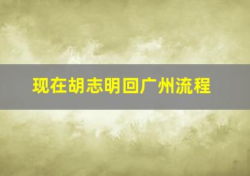 现在胡志明回广州流程