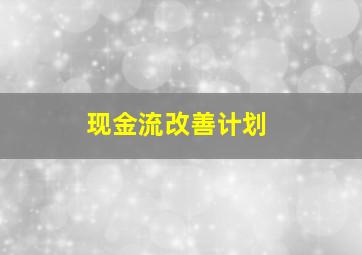 现金流改善计划