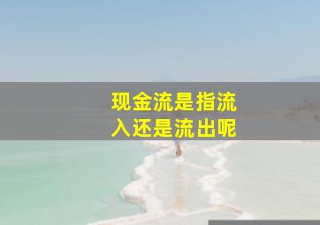 现金流是指流入还是流出呢