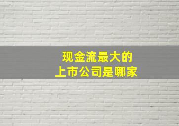 现金流最大的上市公司是哪家