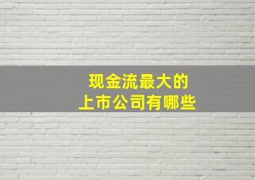 现金流最大的上市公司有哪些