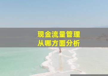 现金流量管理从哪方面分析