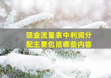 现金流量表中利润分配主要包括哪些内容