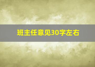 班主任意见30字左右