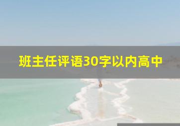 班主任评语30字以内高中