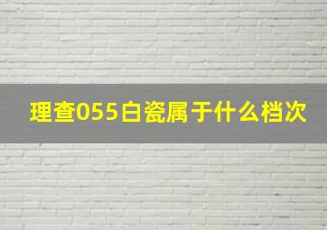 理查055白瓷属于什么档次