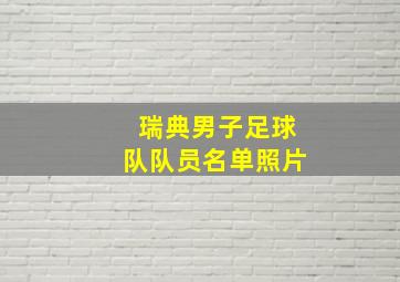 瑞典男子足球队队员名单照片