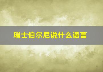 瑞士伯尔尼说什么语言