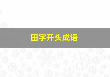 田字开头成语