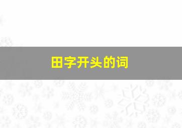 田字开头的词