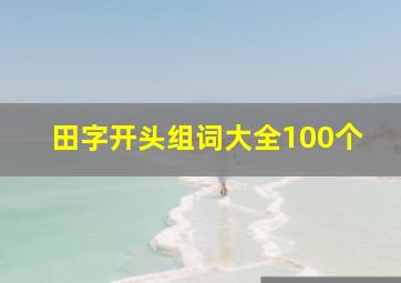 田字开头组词大全100个