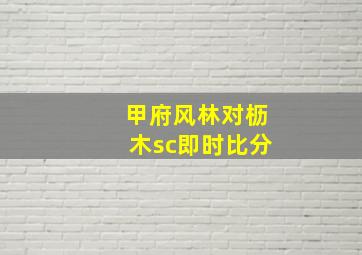 甲府风林对枥木sc即时比分