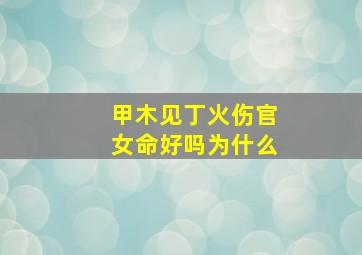 甲木见丁火伤官女命好吗为什么