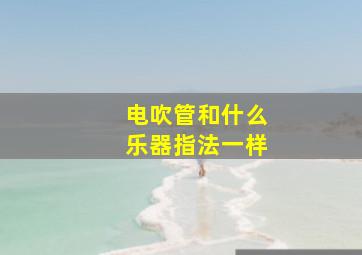 电吹管和什么乐器指法一样