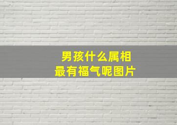 男孩什么属相最有福气呢图片