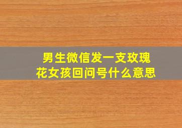 男生微信发一支玫瑰花女孩回问号什么意思