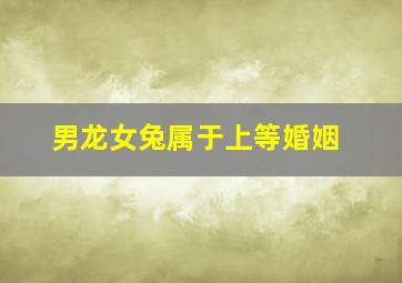 男龙女兔属于上等婚姻