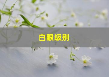 白眼级别