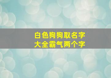 白色狗狗取名字大全霸气两个字