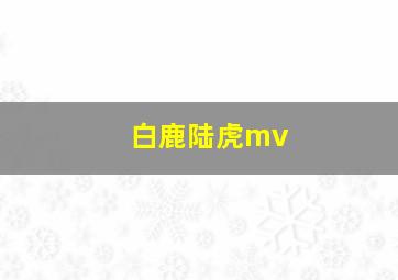 白鹿陆虎mv