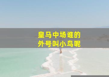 皇马中场谁的外号叫小鸟呢