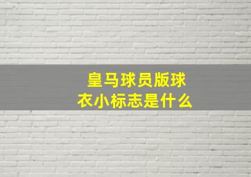 皇马球员版球衣小标志是什么