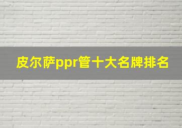 皮尔萨ppr管十大名牌排名