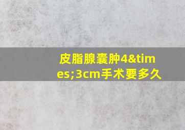 皮脂腺囊肿4×3cm手术要多久