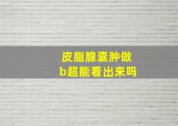 皮脂腺囊肿做b超能看出来吗