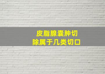 皮脂腺囊肿切除属于几类切口