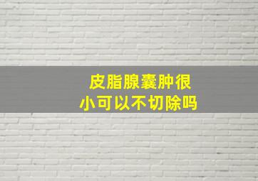 皮脂腺囊肿很小可以不切除吗