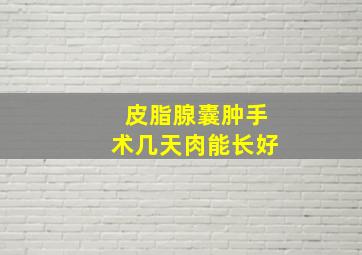 皮脂腺囊肿手术几天肉能长好