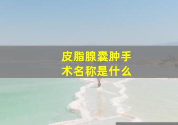 皮脂腺囊肿手术名称是什么