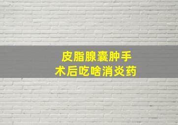 皮脂腺囊肿手术后吃啥消炎药