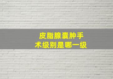 皮脂腺囊肿手术级别是哪一级