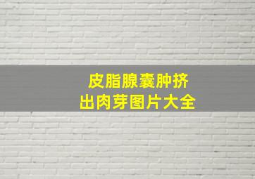 皮脂腺囊肿挤出肉芽图片大全