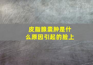 皮脂腺囊肿是什么原因引起的脸上