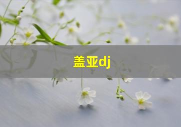 盖亚dj