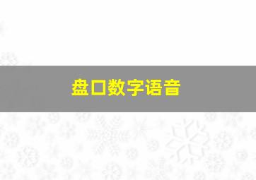 盘口数字语音