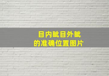 目内眦目外眦的准确位置图片