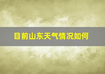 目前山东天气情况如何